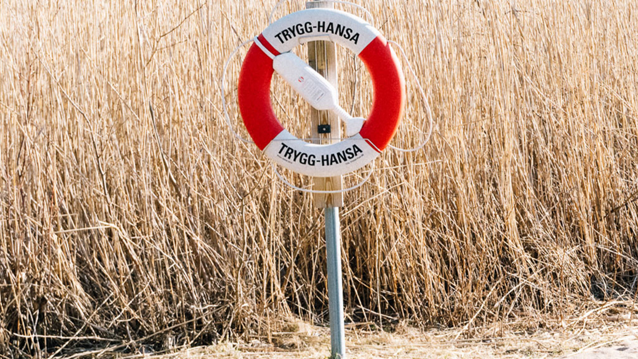 Är du en trygg konsult?